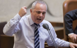 יובל שטייניץ בכנסת  (צילום: יונתן סינדל, פלאש 90)