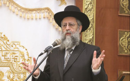 הרב דוד יוסף (צילום: יעקב לדרמן, פלאש 90)