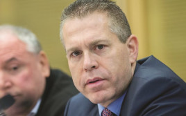 גלעד ארדן (צילום: יונתן זינדל, פלאש 90)