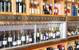 דרך היין (צילום: אורי ורונית)