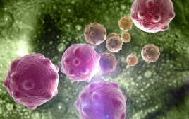 תאים סרטניים (צילום: אינג אימג')