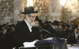 הרב אליעזר ברלנד (צילום: יוסי זליגר, פלאש 90)