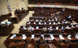 מליאת הכנסת  (צילום: מרק ישראל סלם)