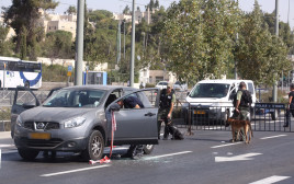 זירת פיגוע הירי בירושלים (צילום: מרק ישראל סלם)