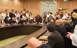 ועדת הכספים של הכנסת  (צילום: דוברות הכנסת)