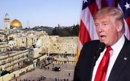דונלד טראמפ, ירושלים (צילום: Getty images)