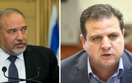 אביגדור ליברמן ואיימן עודה (צילום: יונתן זינדל, פלאש 90,מרק ישראל סלם)