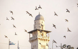 מסגד (צילום: פלאש 90)