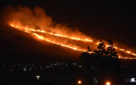 שריפה באזור כרמיאל (צילום: כיבוי אווירי)