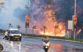 שריפה בחיפה (צילום: AFP)