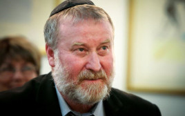 אביחי מנדלבליט (צילום: פלאש 90)