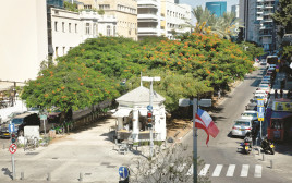 שדרות רוטשילד בתל אביב (צילום: פלאש 90)