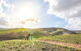 מזג אוויר אביבי (צילום: יוני גריצנר)