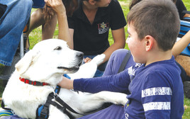 ילד חולה עם כלב סיוע (צילום: עמותת צעדים קטנים)