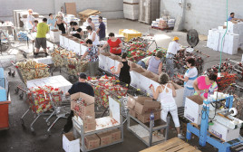 חלוקת מזון לזקקים (צילום: מרק ישראל סלם)