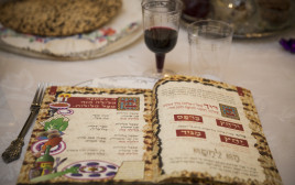 הגדה של פסח, ליל הסדר (צילום: מרים אלסטר, פלאש 90)