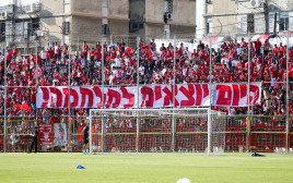 קהל הפועל תל אביב  (צילום: דני מרון)