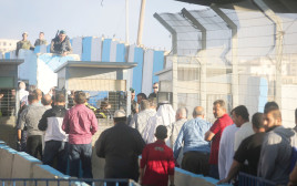 שוטרים ופלסטינים במחסום קלנדיה (צילום: פלאש 90)