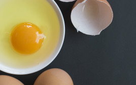 ביצים (צילום: istockphoto)