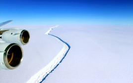התנתקות קרחון באנטרקטיקה (צילום: רויטרס)