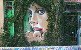 אומנות רחוב בתל אביב  (צילום: יצחק בן נר)