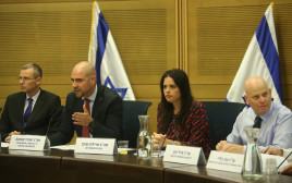דיון בוועדת הכנסת על חוק הלאום (צילום: מרק ישראל סלם)