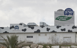 המפעל של "טרה" (צילום: נתי שוחט, פלאש 90)