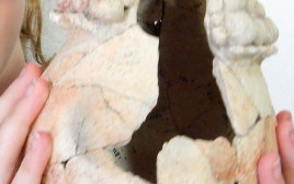 כלי חרס שנמצא באתר ארכיאולוגי בעמק הירדן (צילום: אוניברסיטת חיפה)