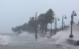 הוריקן אירמה (צילום: רויטרס)