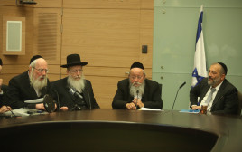 הח"כים החרדים בדיון על פסיקת בג"ץ לגבי חוק הגיוס (צילום: מרק ישראל סלם)