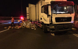 המשאית מהתאונה בכביש 4 (צילום: מד"א)