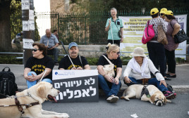 מחאת העיוורים מול הכנסת (צילום: הדס פרוש , פלאש 90)