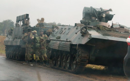 משוריינים של צבא זימבבואה מחוץ לבירה הארארה (צילום: רויטרס)