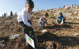 נטיעות באזור מודיעין