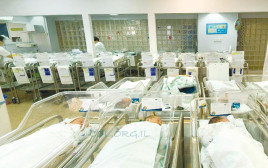 הפגייה בבית החולים לניאדו (צילום: יח"צ)
