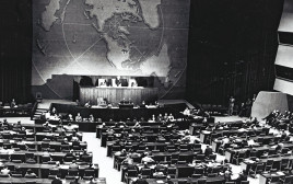 כ''ט בנובמבר ההצבעה באו"ם  (צילום: לע"מ)