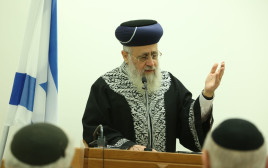 הרב יצחק יוסף (צילום: שלומי כהן)