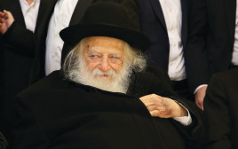הרב קנייבסקי (צילום: יעקב כהן, פלאש 90)