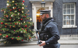 שוטר בריטי בדאונינג סטריט (צילום: רויטרס)