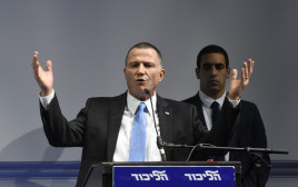 יולי אדלשטיין