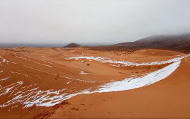 שלג במדבר סהרה (צילום: רויטרס)