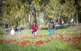 פסטיבל "דרום אדום" (צילום: פלאש 90)