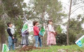 נטיעות של ילדים, ט"ו בשבט
