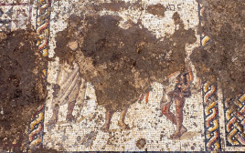 הפסיפס הנדיר (צילום: אסף פרץ, באדיבות רשות העתיקות)