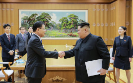 שליט קוריאה הצפונית קים נפגש עם שליח דרום קוריאני (צילום: AFP)