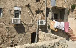 צילום: טליה לוין