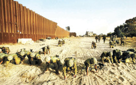 ציר פילדלפי חיילים אוספים חלקי גופות (צילום: ברקאי וולפסון)