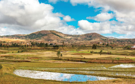 מדגסקר (צילום: אינג אימג')