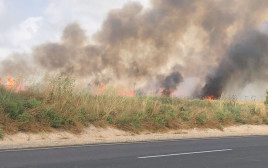 שריפה בשדה בעוטף עזה שנגרמה מבלון תבערה (צילום: דוברות מועצה אזורית שער הנגב)