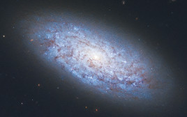 גלקסיה, אילוסטרציה (צילום: רויטרס)